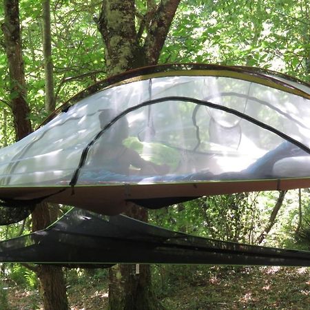 Tente Suspendue Au Coeur De La Foret Sainte-Croix-de-Volvestre ภายนอก รูปภาพ