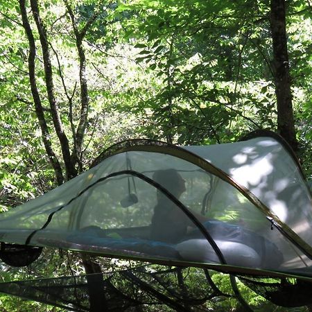 Tente Suspendue Au Coeur De La Foret Sainte-Croix-de-Volvestre ภายนอก รูปภาพ